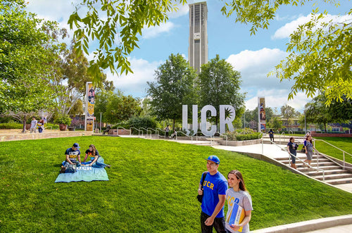 Schools and Universities